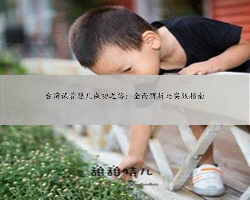 台湾试管婴儿成功之路：全面解析与实践指南